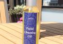 CHIKYU FACIAL CLEANSING OIL